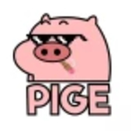 PIGE Coin