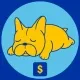 DixieCoin